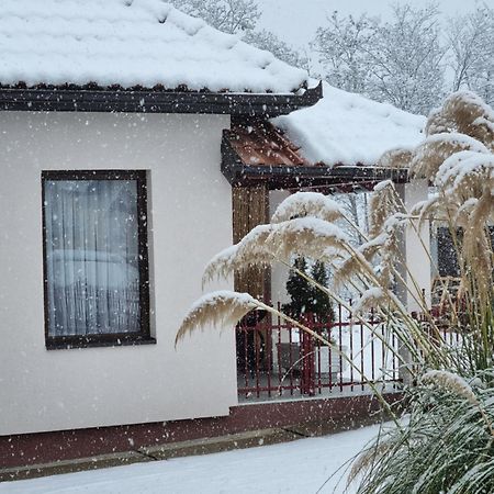 Apartman Savic Daire Bajina Basta Dış mekan fotoğraf