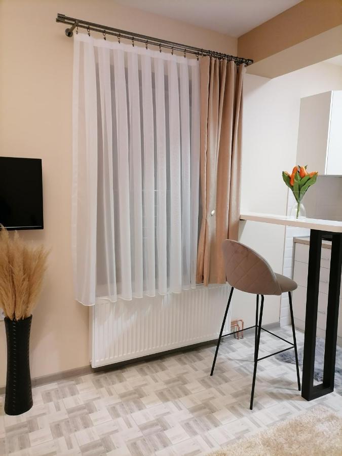 Apartman Savic Daire Bajina Basta Dış mekan fotoğraf