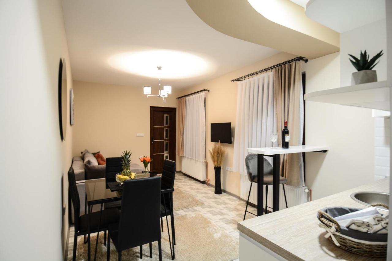 Apartman Savic Daire Bajina Basta Dış mekan fotoğraf