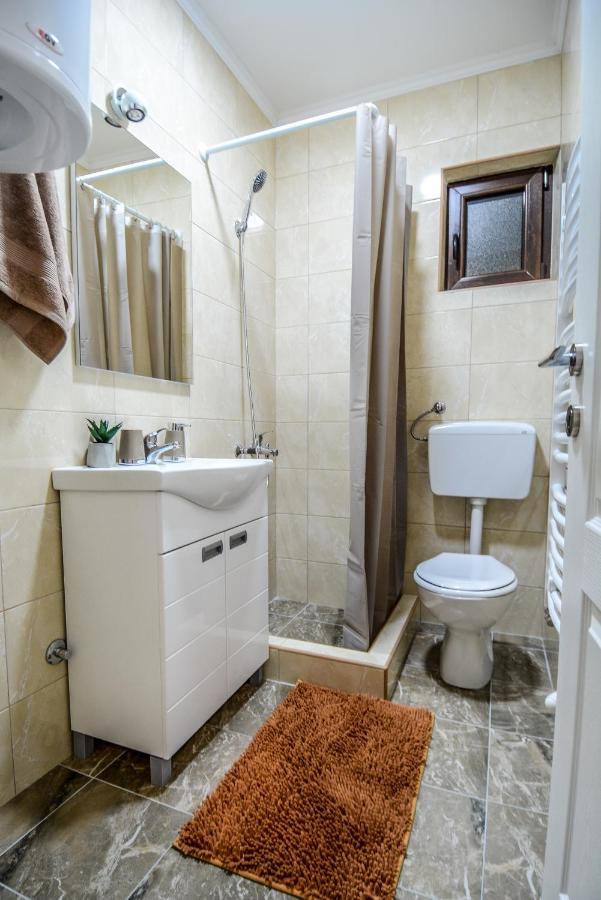 Apartman Savic Daire Bajina Basta Dış mekan fotoğraf