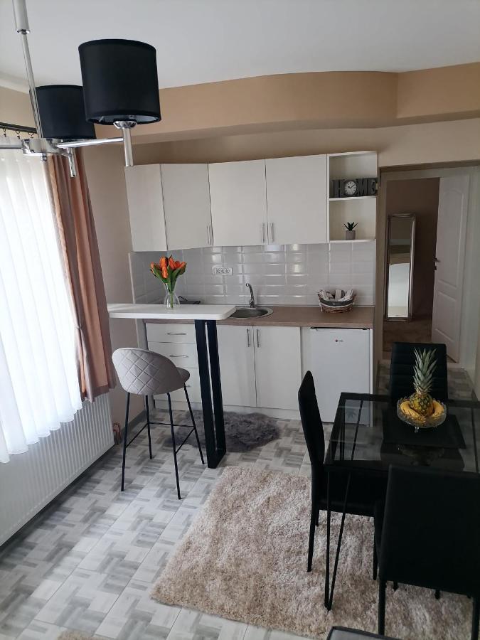 Apartman Savic Daire Bajina Basta Dış mekan fotoğraf