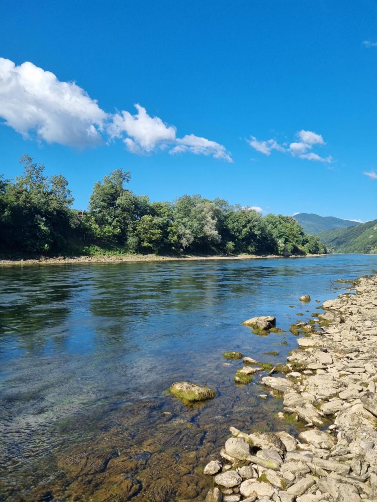 Apartman Savic Daire Bajina Basta Dış mekan fotoğraf